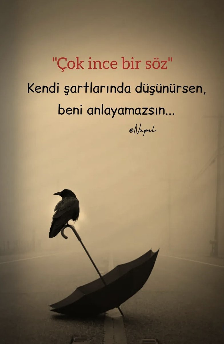 Pure Dream (@ruyalargibiiz) on Twitter photo 