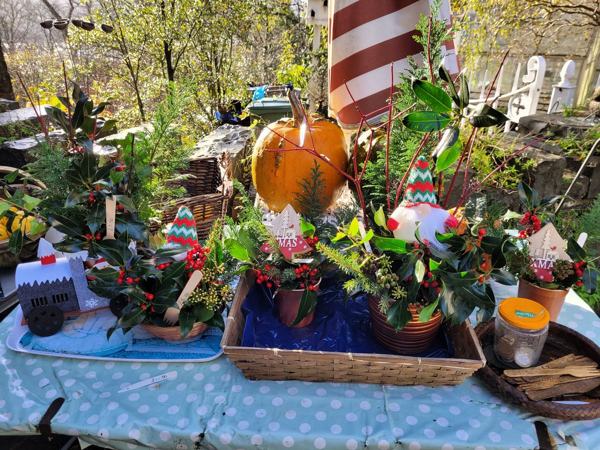 dovecotenursery's tweet image. Xmas Decs and Holly bouquets lovingly prepared. On the table today 😀 #anglesey #local #seasonal #chef