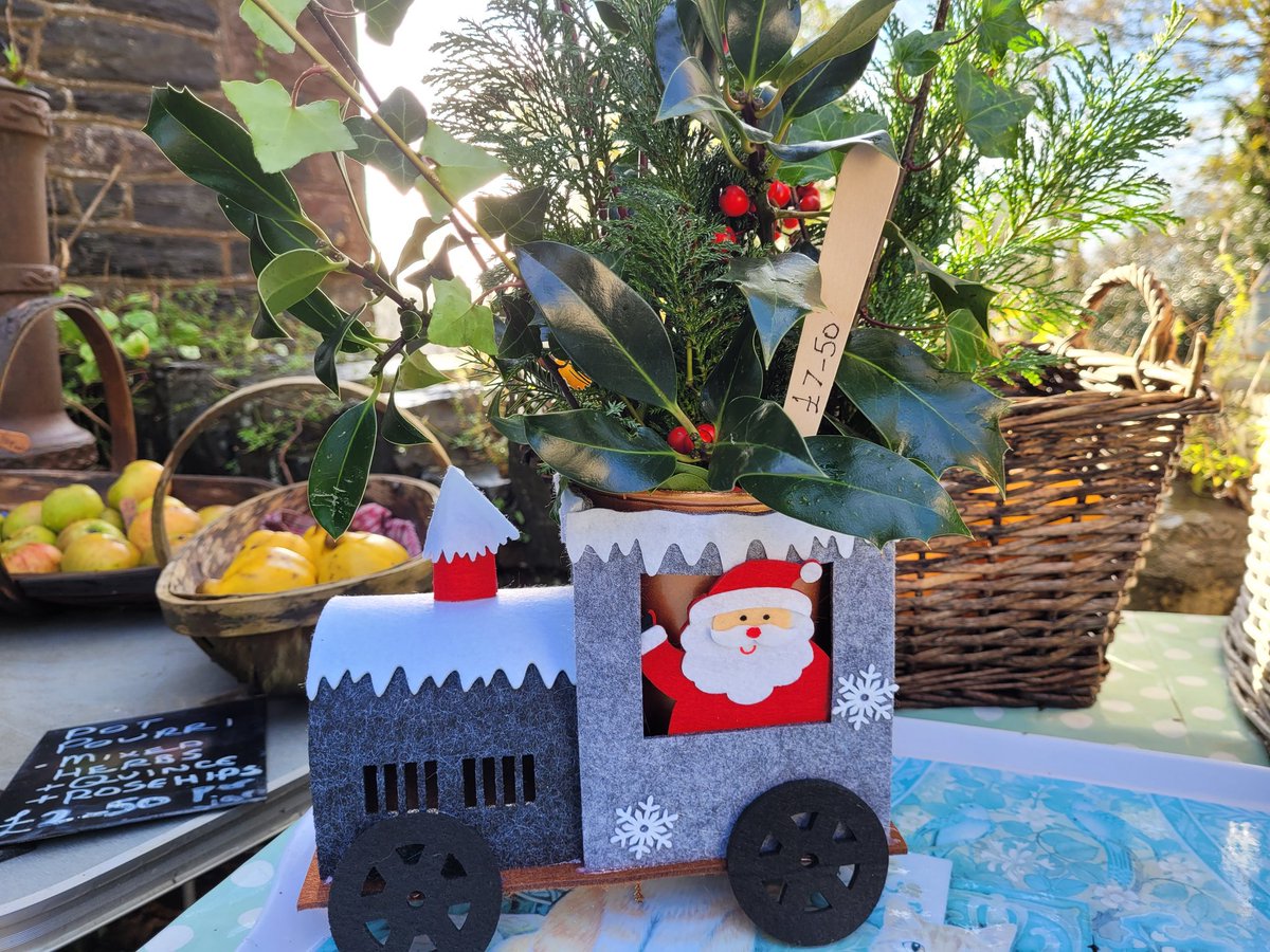 dovecotenursery's tweet image. Xmas Decs and Holly bouquets lovingly prepared. On the table today 😀 #anglesey #local #seasonal #chef