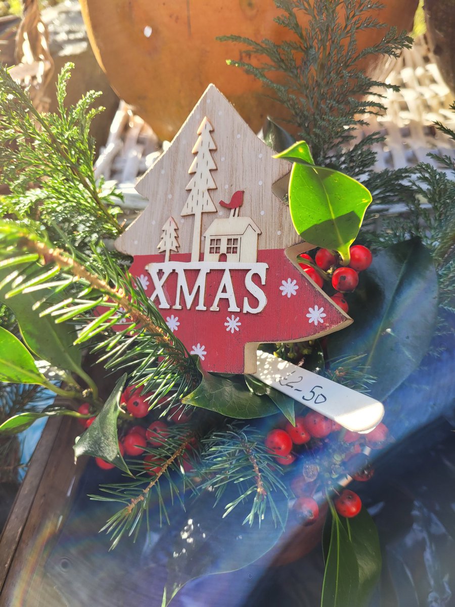 dovecotenursery's tweet image. Xmas Decs and Holly bouquets lovingly prepared. On the table today 😀 #anglesey #local #seasonal #chef