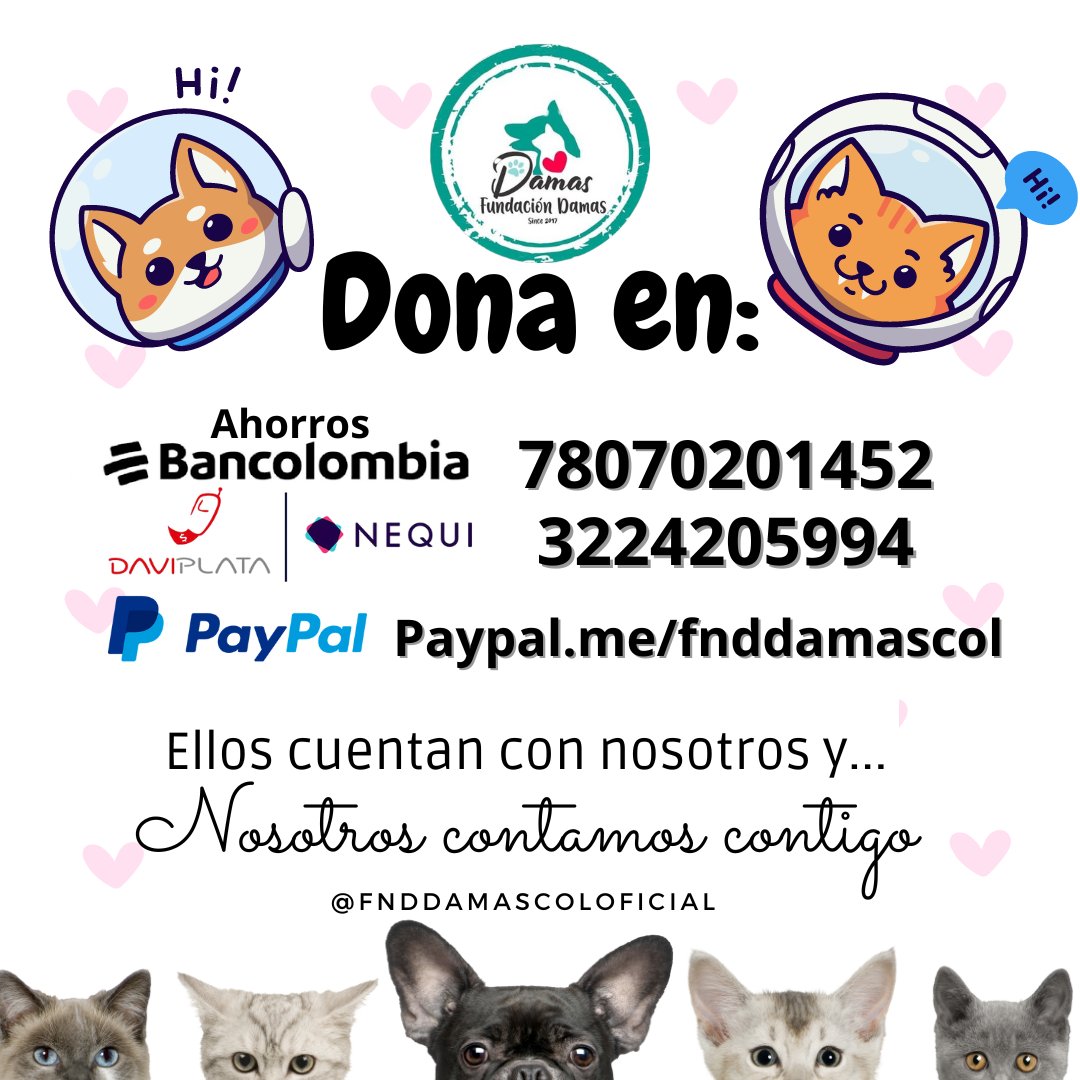 #Comparte #Bucaramanga queremos acudir al APOYO y GENEROSIDAD de quien pueda ayudar. No TENEMOS comida ni medicinas de los ANIMALITOS del refugio. La situación es URGENTE, repetimos No tenemos COMIDA ni MEDICINAS! Si desea AYUDAR escríbanos! Dona en Nequi o Daviplata 3224205994