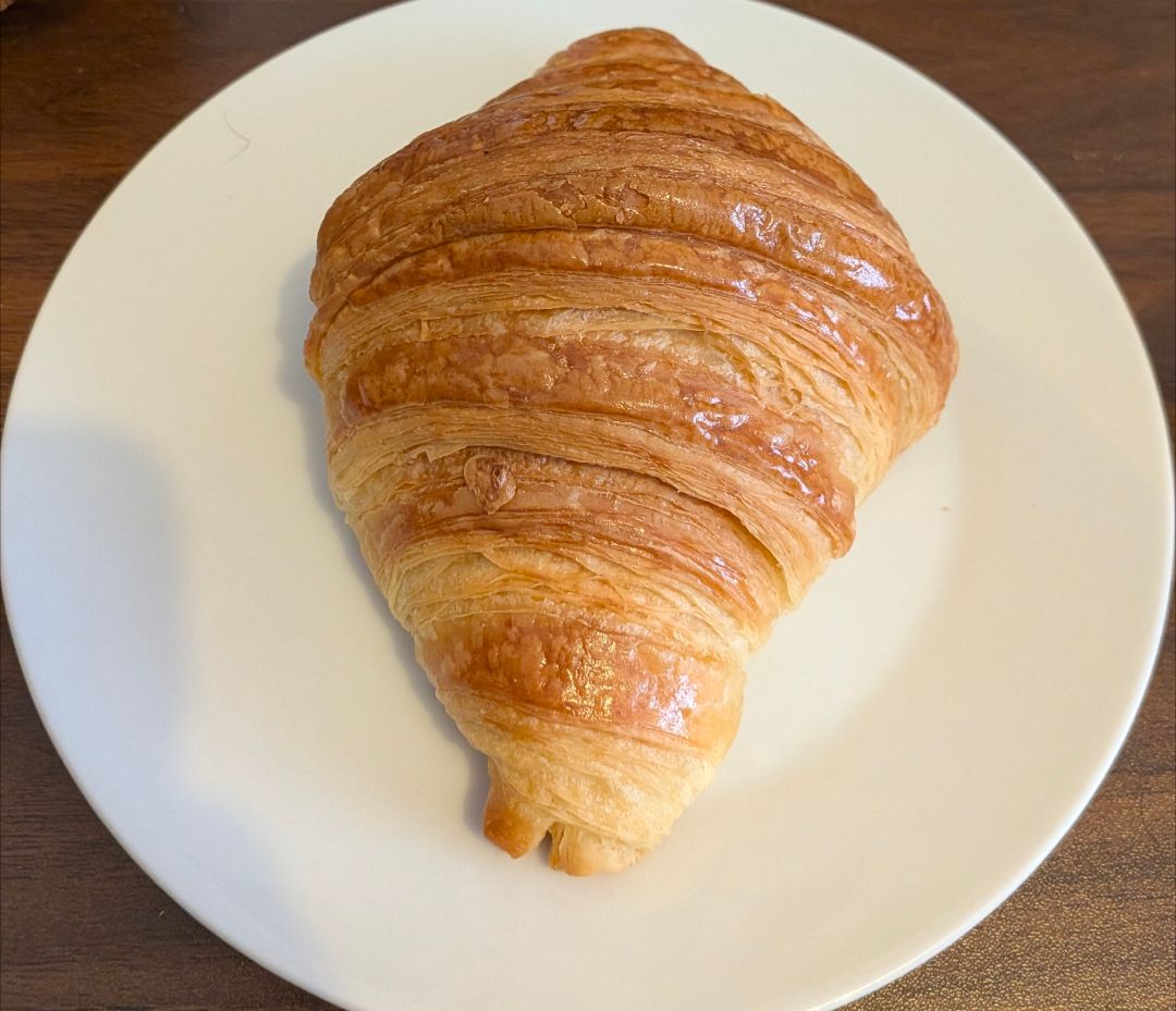 Regelegorila tweet media