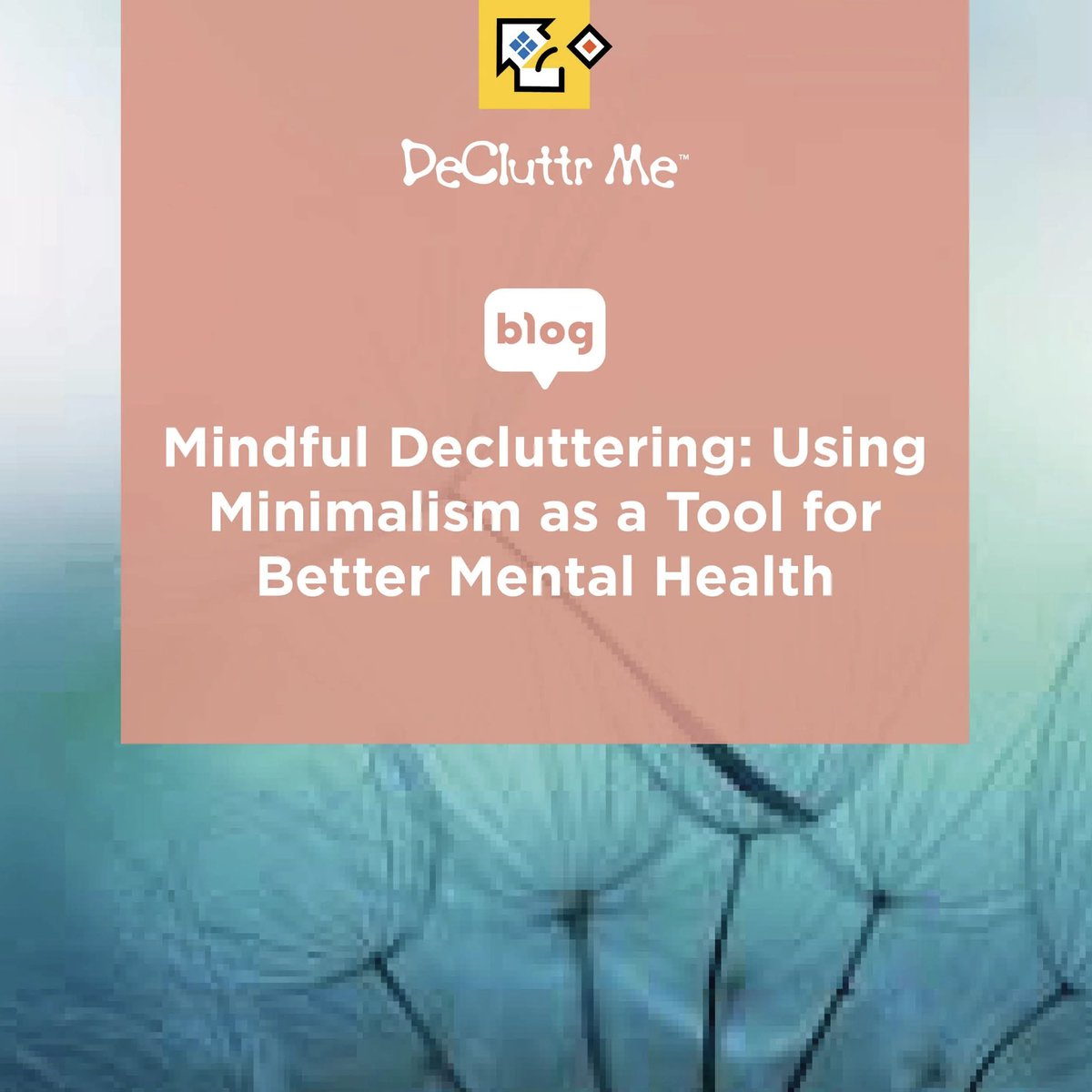 DecluttrMe's tweet image. NEW BLOG: Mindful Decluttering: Using Minimalism as a Tool for Better Mental Health

#Decluttering and #minimalism often go hand in hand, but when you bring #mindfulness into the process, the impact goes even deeper. 

decluttrme.com/blog/71n7wos9y…

#DeCluttrMe #simplify #declutter