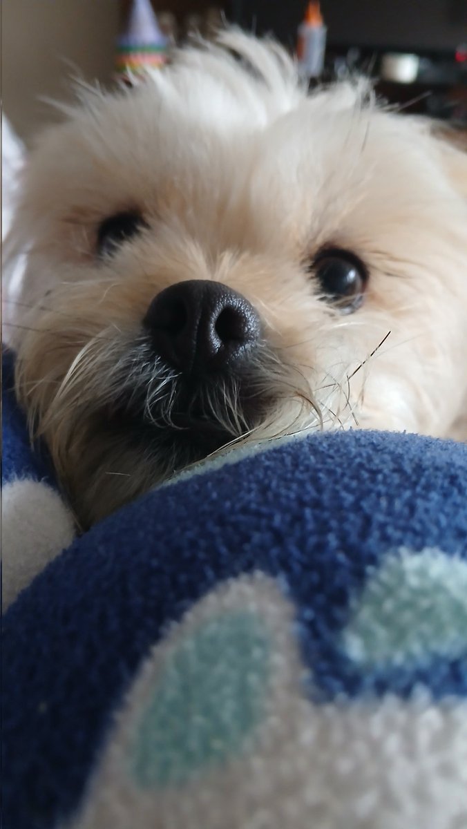 useless!!1! STUDIO 54 tweet media