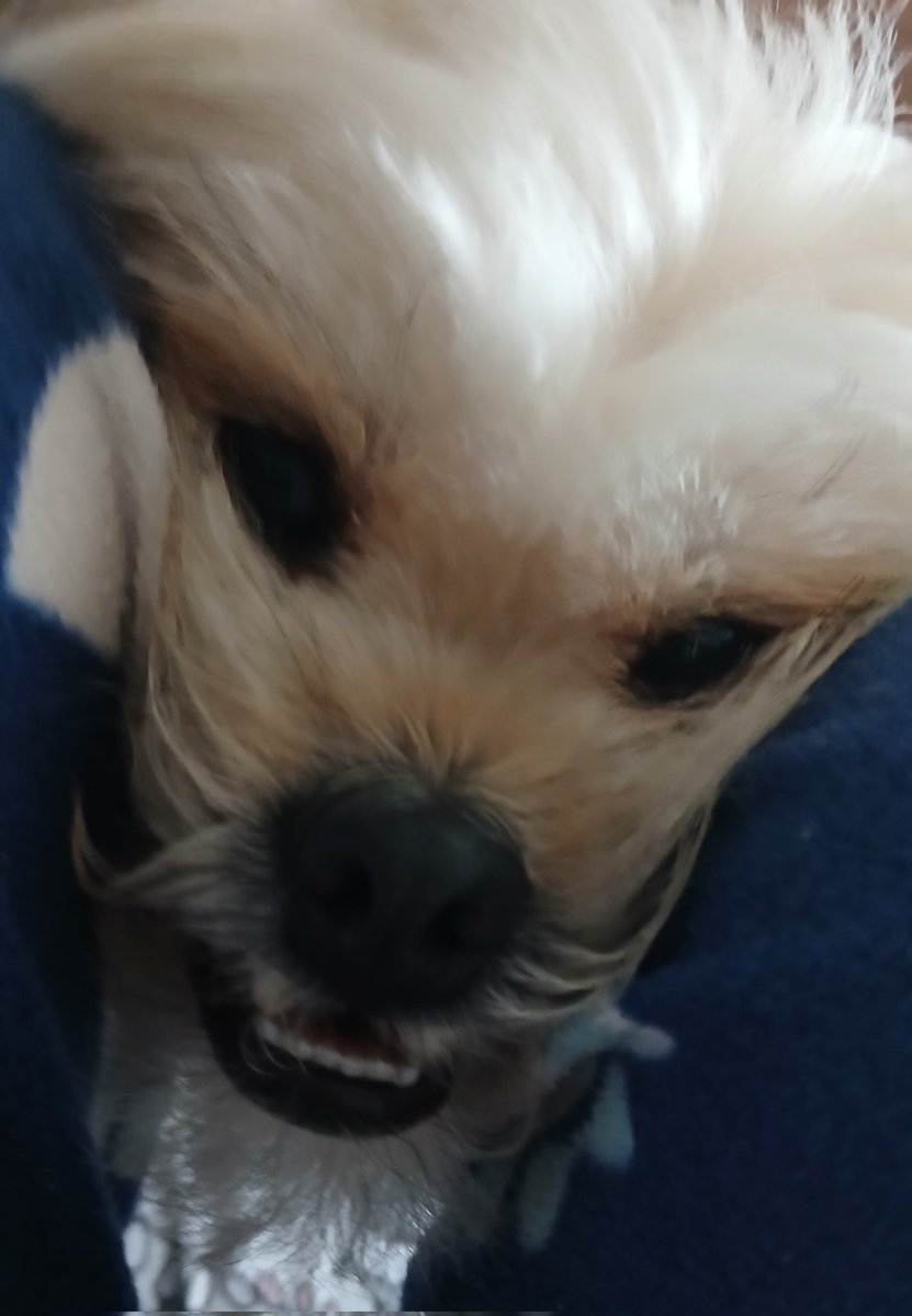 useless!!1! STUDIO 54 tweet media