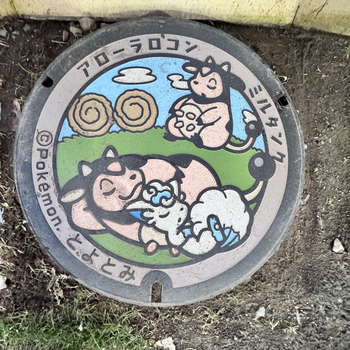 北海道 稚内 2個目のポケふたは豊富✨ 雪よけ？？頑丈に囲われてました