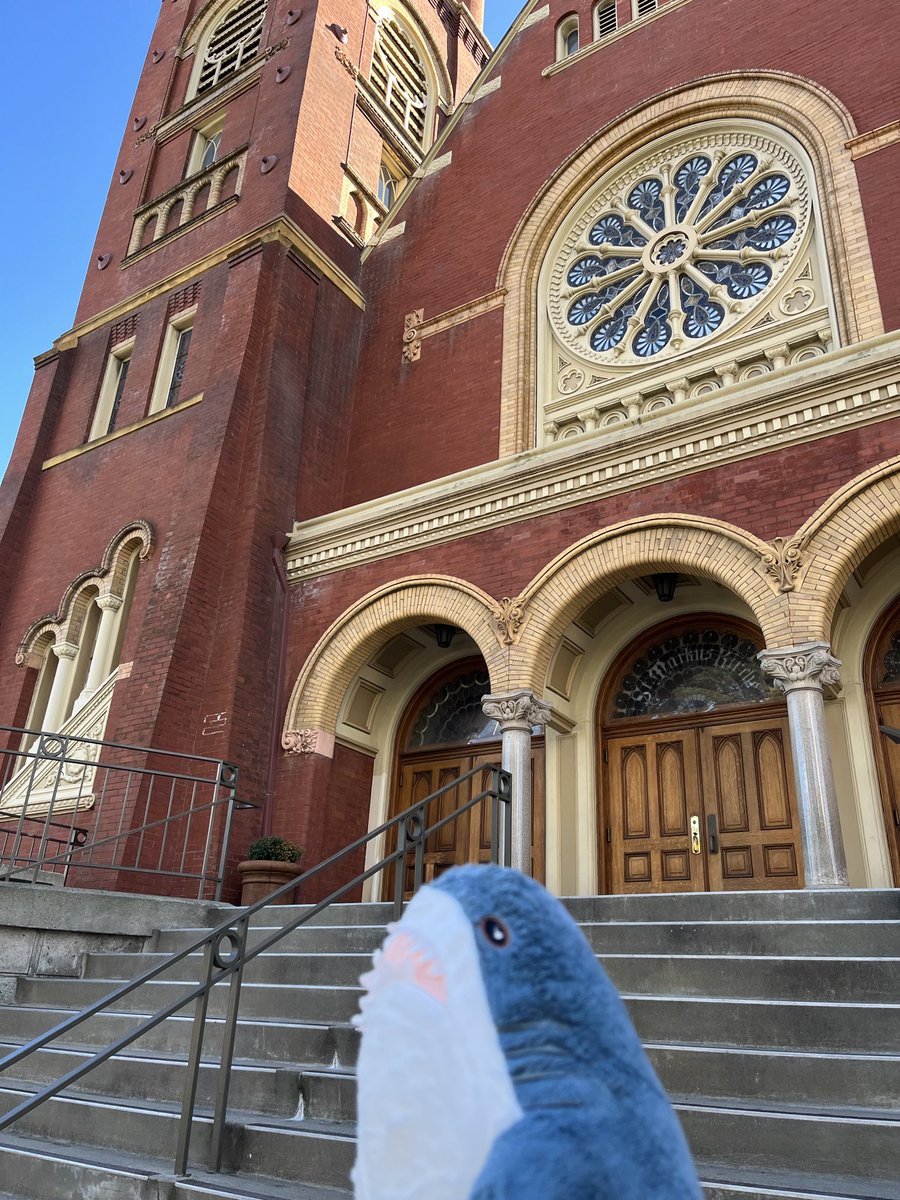 教会に来たのでパッチ🦈⛪️✨️
#IKEA #IKEAのサメ #IKEAshark #blahaj