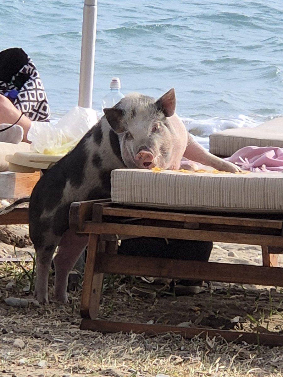 w3loading's tweet image. The market eating your gains.