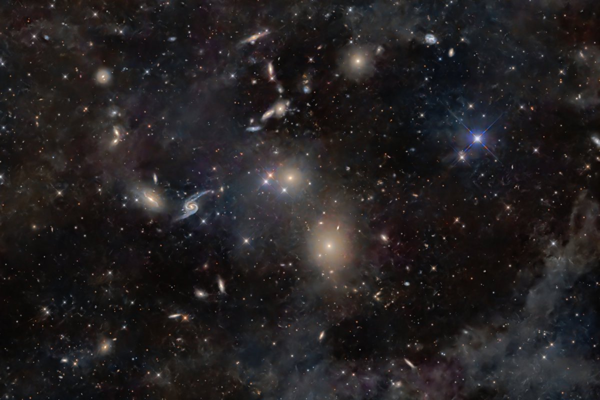 ５連の雲 ディスポーザブルカニューラ StarTip V / StarTip 2 V / X-Press V