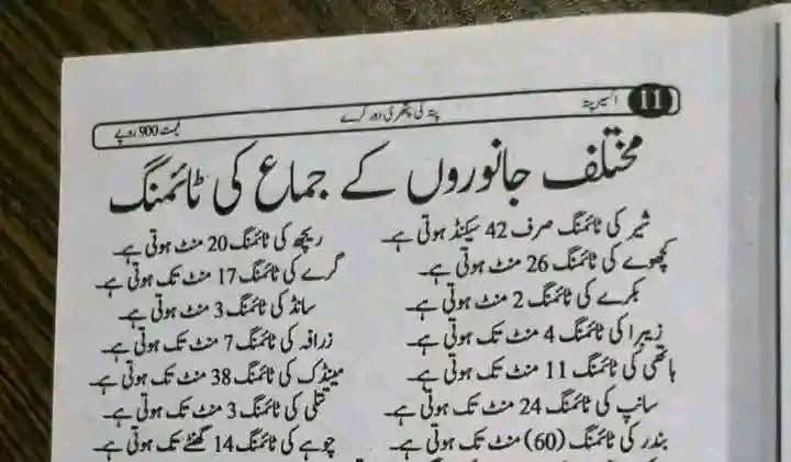 اب سمجھ آئ زیادہ تر مرد خود کو شیر کیوں سمجھتے ہیں 😜🤣