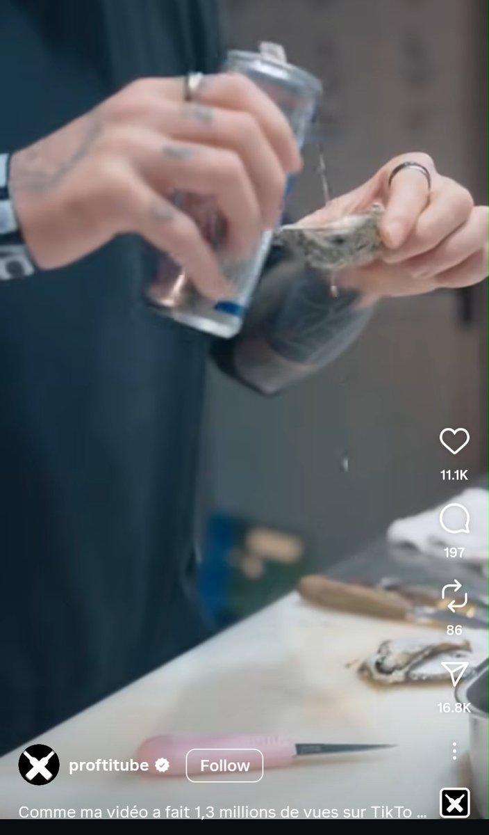 ProjectImpero's tweet image. French chefs on IG are saying oysters with Red Bull taste incredible. We have never been more back.