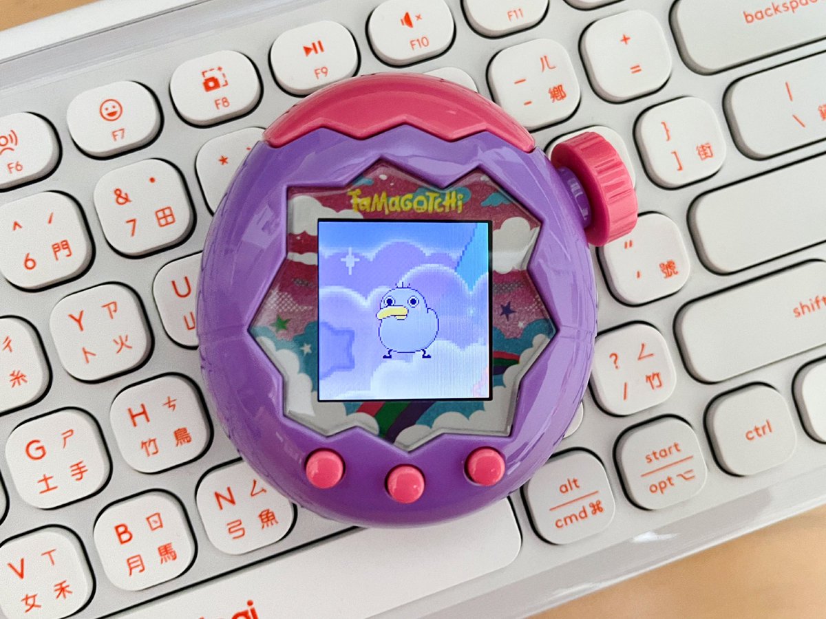 各位觀眾
紫　色　奇　異　鳥