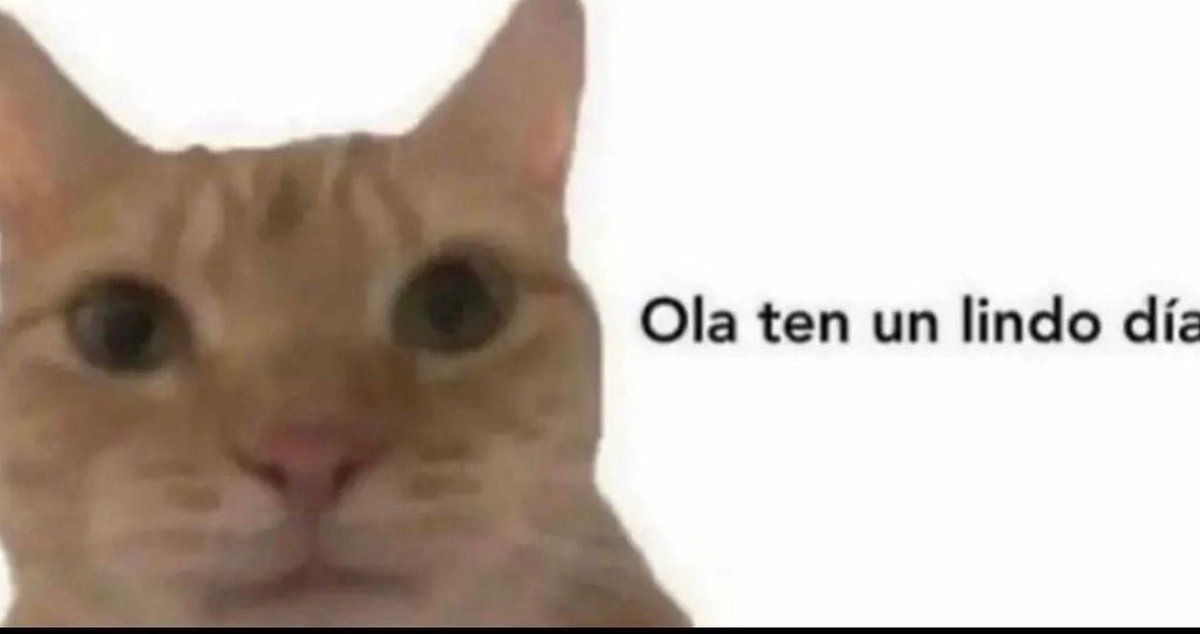 Carljoy_J's tweet photo. @NiiAby Ánimos, guapa, puede parecer que el mundo se te viene encima pero tú puedes con todo, mucha suerte. Por cierto ¿Tienes un tatuaje? https://t.co/DjkTESs8HL