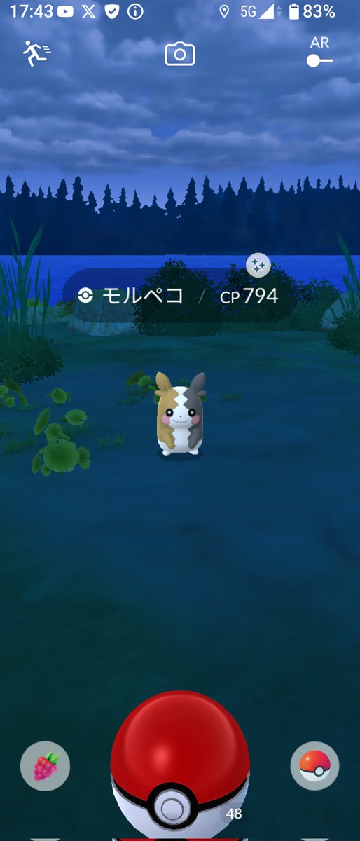 aikapi315's tweet image. 色違いモルペコ😊✨🎵
曇りなのに背景が雪景色になってた⛄❄️