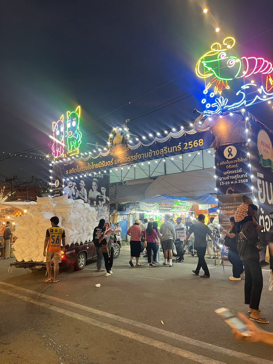 👸🏻 tweet media