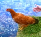 Justice for Chad — he deserves truth, fairness, and respect. We stand with him and won’t stay silent until justice is served.