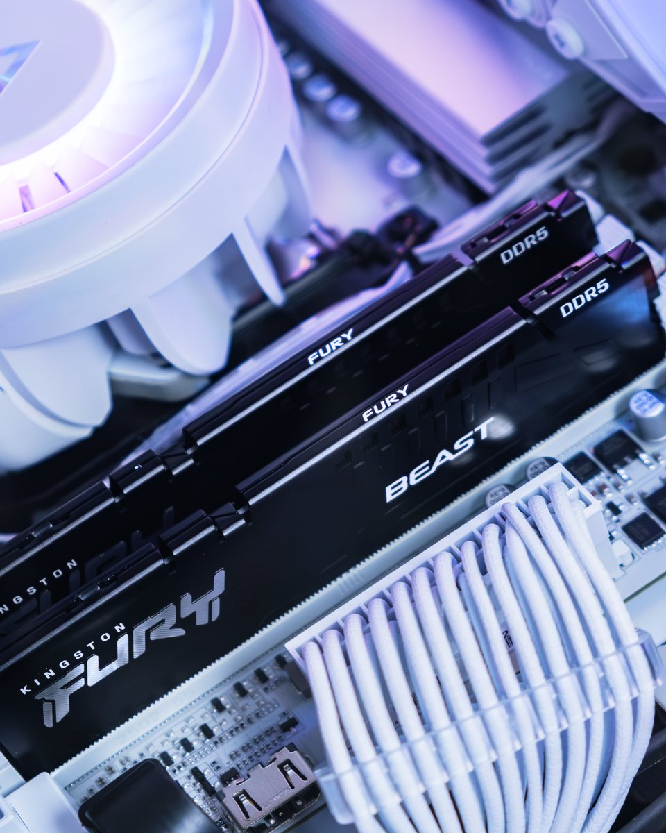 ⚡ Every build needs a little FURY

Kingston FURY DDR5 RAM isn’t just memory — it’s the heart of your PC.

✅ Faster load times so you jump into games instantly
✅ Smooth multitasking for streaming, editing, and gaming at once
✅ Ultra-responsive performance that keeps up with