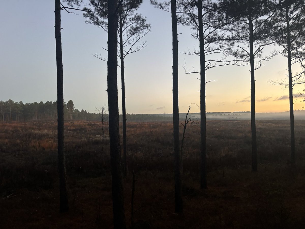 robby smith tweet media