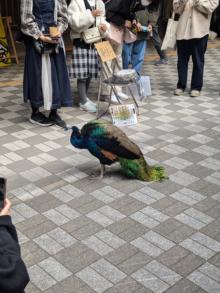 GET！！標本素晴らしかったです👏
ナミビアいきたい…