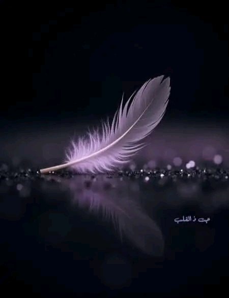 .
لا عليك من كلام الناس فالحشرات تهاجم المصابيح المضيئة دائماً... 
ــــــــــــــ