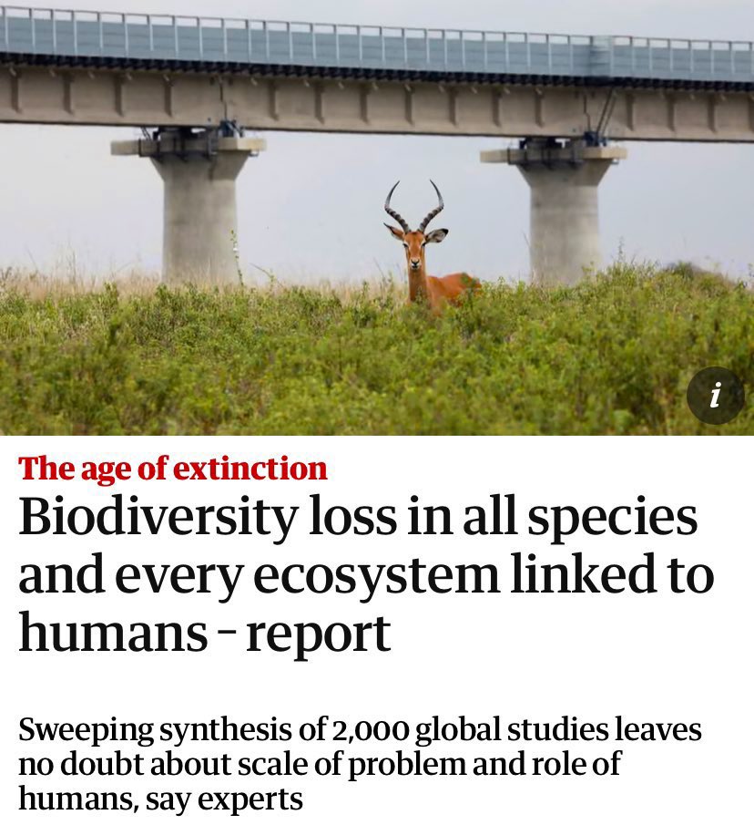 ClimateDad77's tweet image. I just want my planet back.