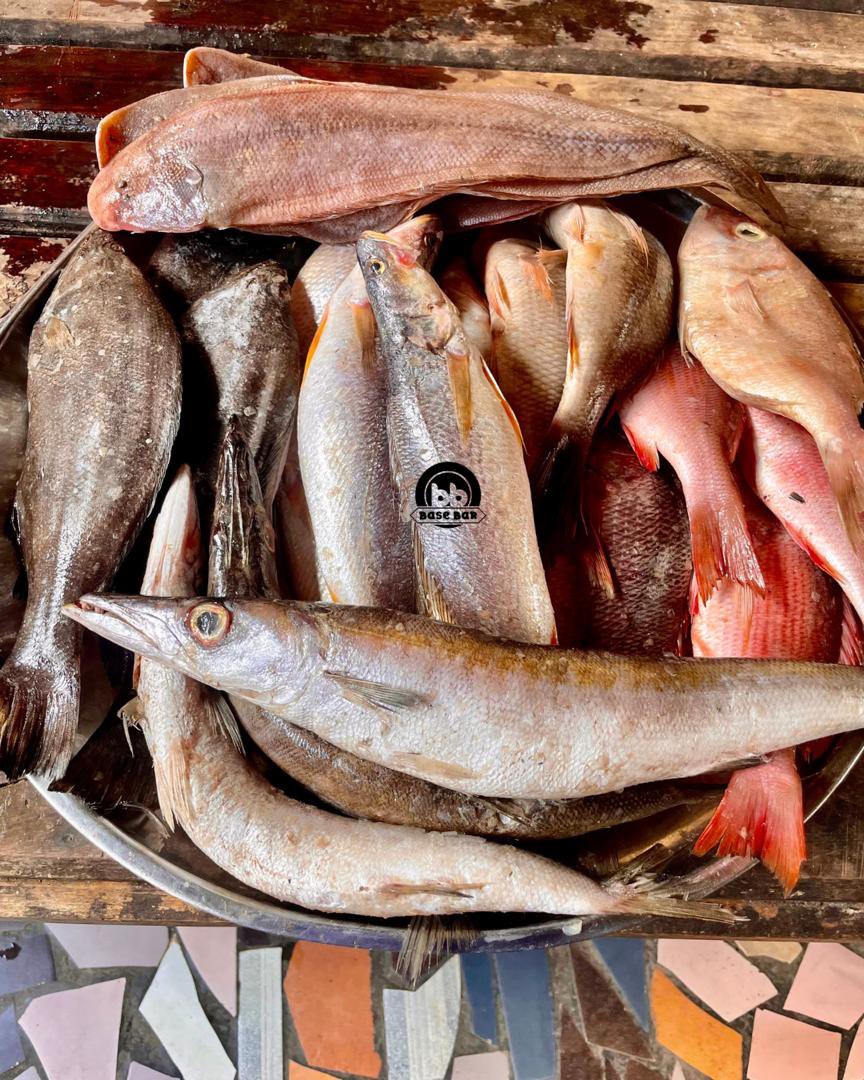 Hello,

Péchés ce matin à Kribi, déjà disponibles à la Base Bar:
- Bar
- Sole
- Carpe
- Brochet
- Turbo