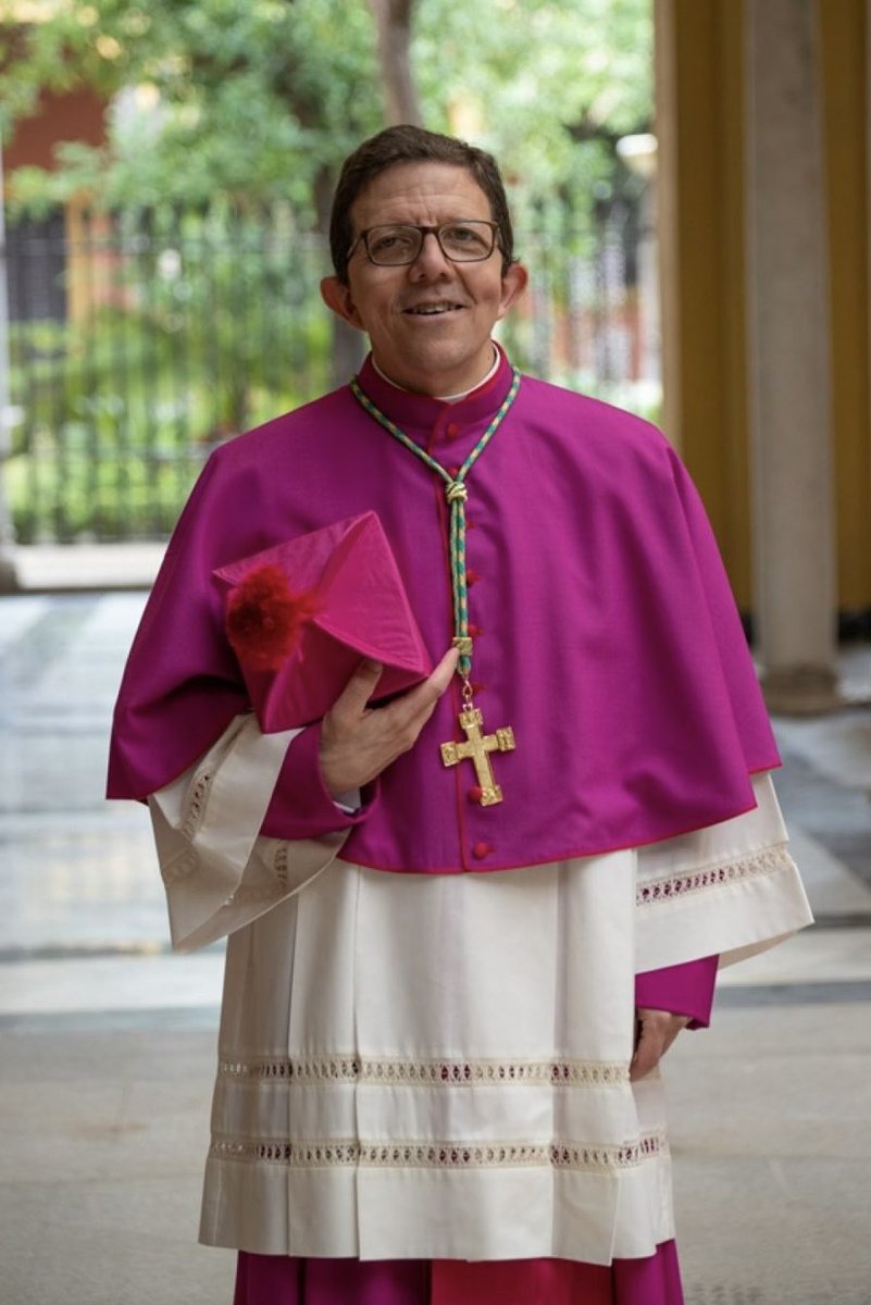 El papa León XIV nombra a Mons. Ramón Darío Valdivia, obispo auxiliar de Sevilla, como Administrador Apostólico de Cádiz y Ceuta tras la renuncia de Mons. Zornoza. Encomendamos su nueva misión a la Santísima Virgen.