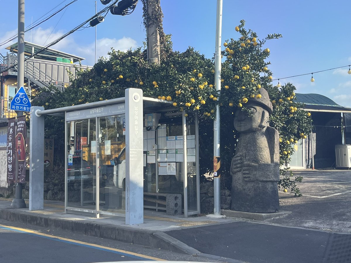 지극히 서귀포다운 버스정류장 풍경
