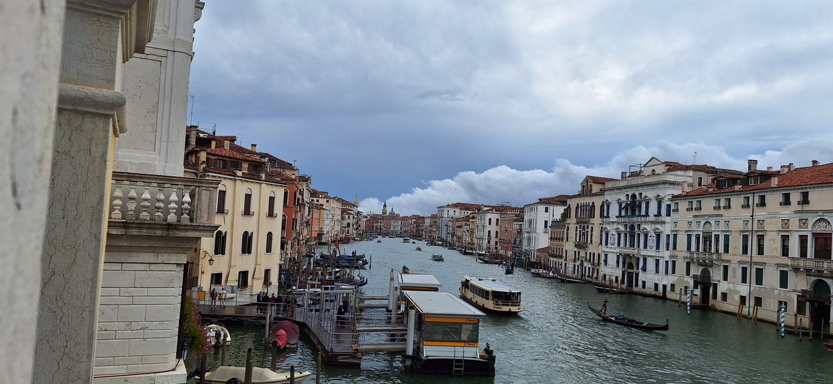 Venezia, l'acqua del Canal Grande si colora di verde sotto il Ponte di Rialto
Sul posto sono intervenuti i Vigili del fuoco, impegnati nelle prime verifiche per identificare la natura della sostanza .