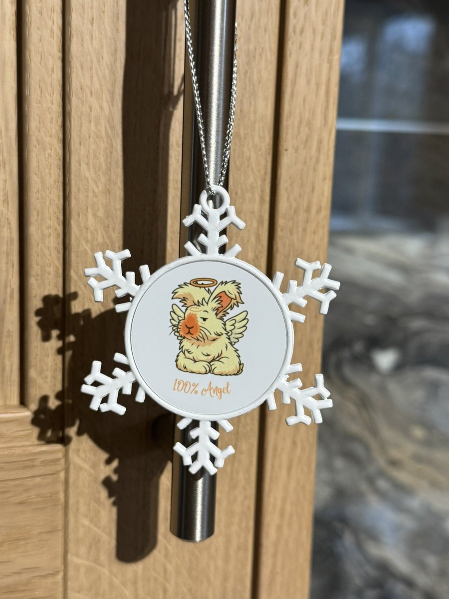 Here’s another you asked, we did … <a href="/carrotcottagerr/">Carrot Cottage Rabbit Rescue</a> BRUCE is now available as a double sided metal snowflake decoration - 100% asshat or 100% Angel? What side would you chews? jjrabbithouse.com/products/ccrr-… Non UK? Message to order 🐰
