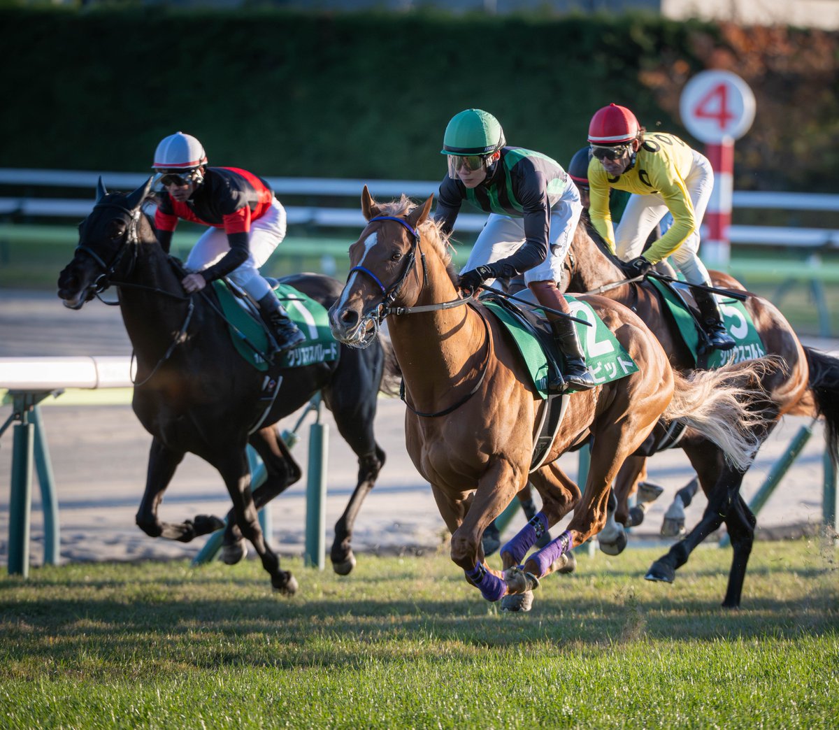 dora (@dora_3121) / Posts / X