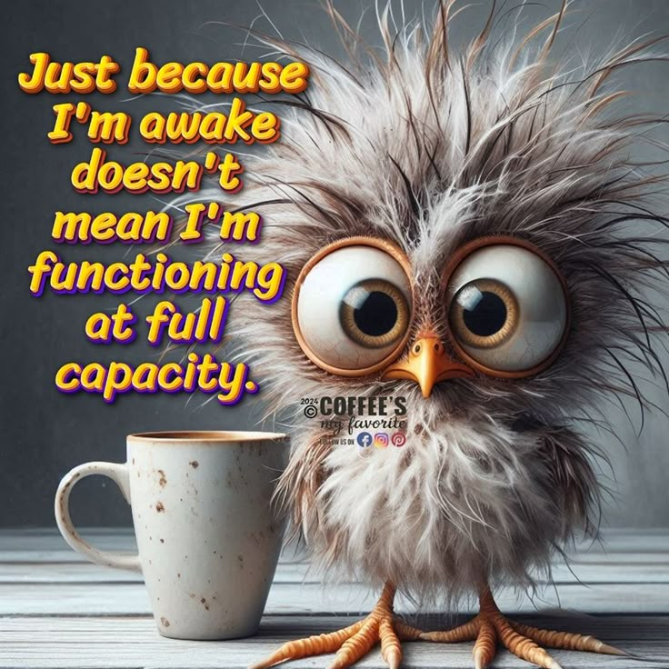 🕸️🌱Vero🕸️ (@vero2oo7) on Twitter photo 