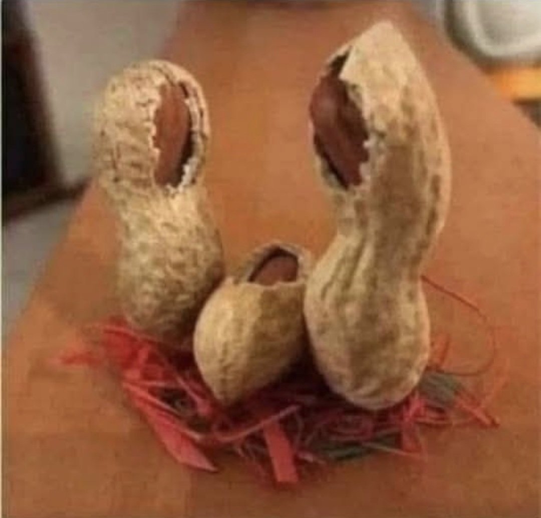 J'ai fait une crèche de Noël selon mon budget.