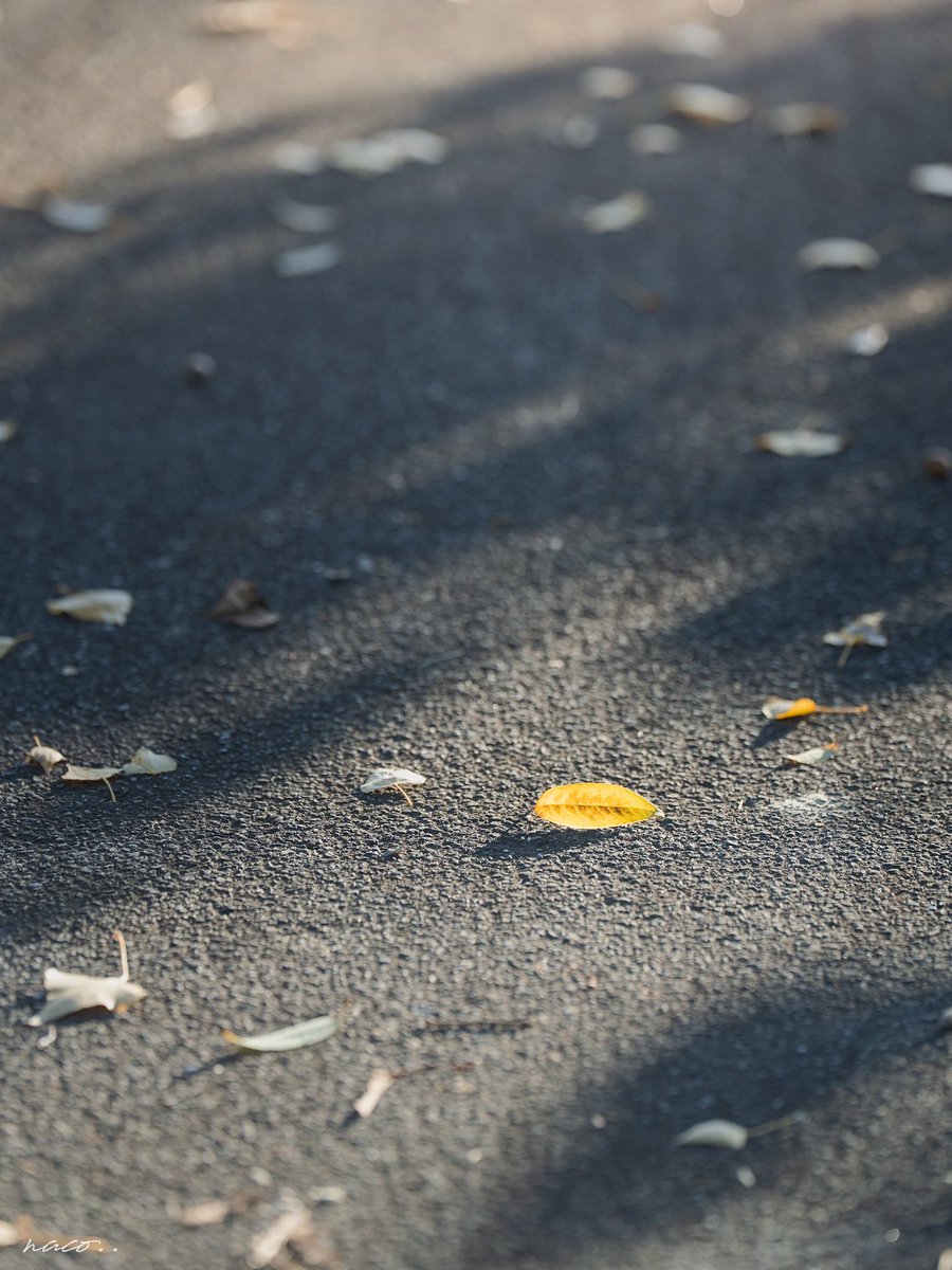 naco.. (@naco__________) / Posts / X