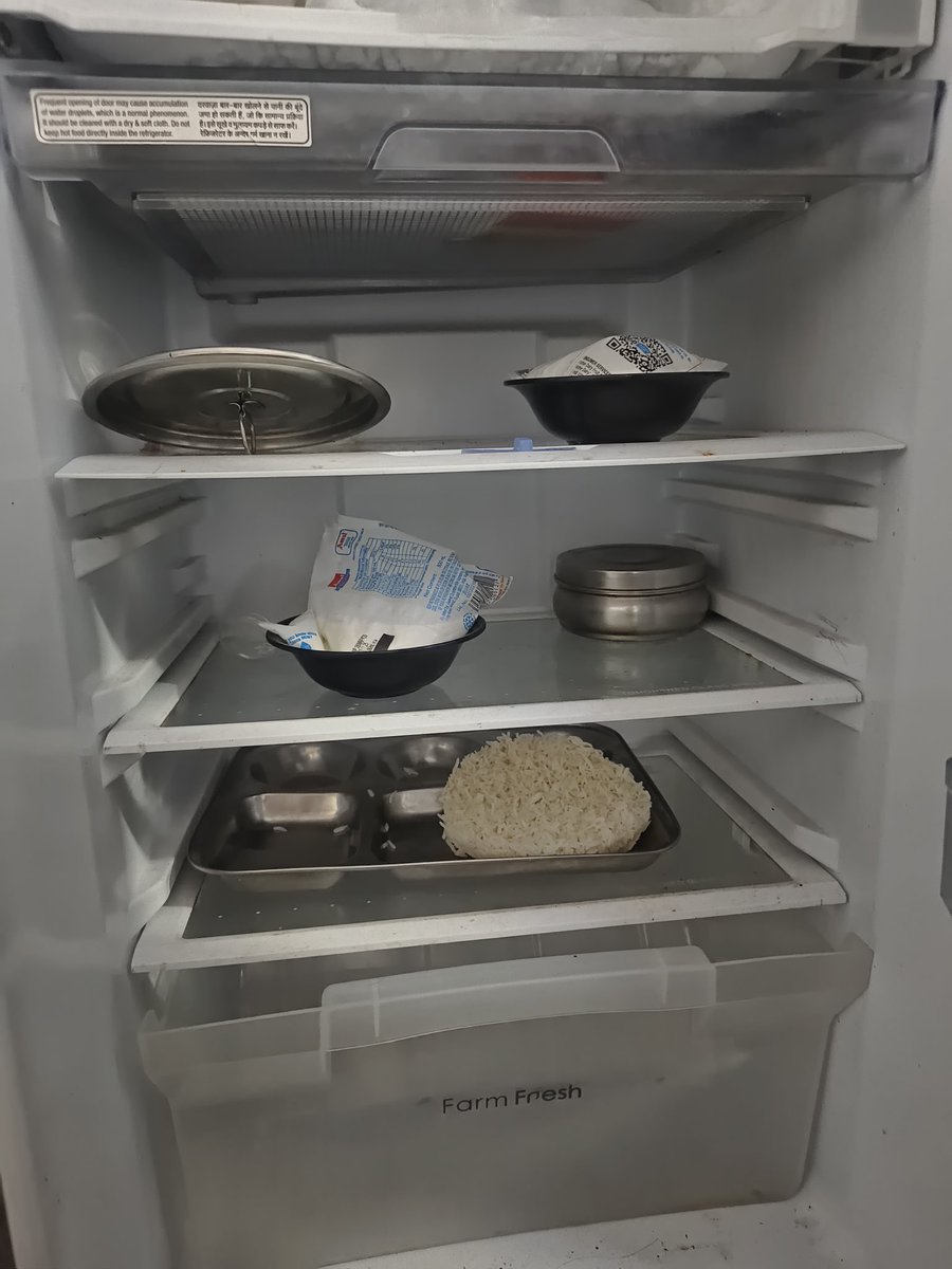 BinaryBuilder7's tweet image. My flatmate is operating purely on survival instincts at this point