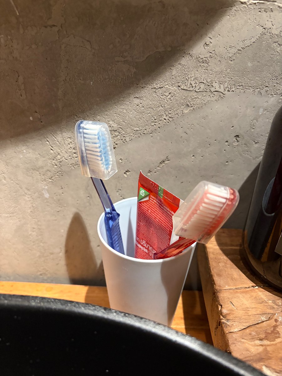 Ahora tenemos que tapar nuestros cepillos de dientes porque mi esposa tiene miedo de que las lagartijas los laman por la