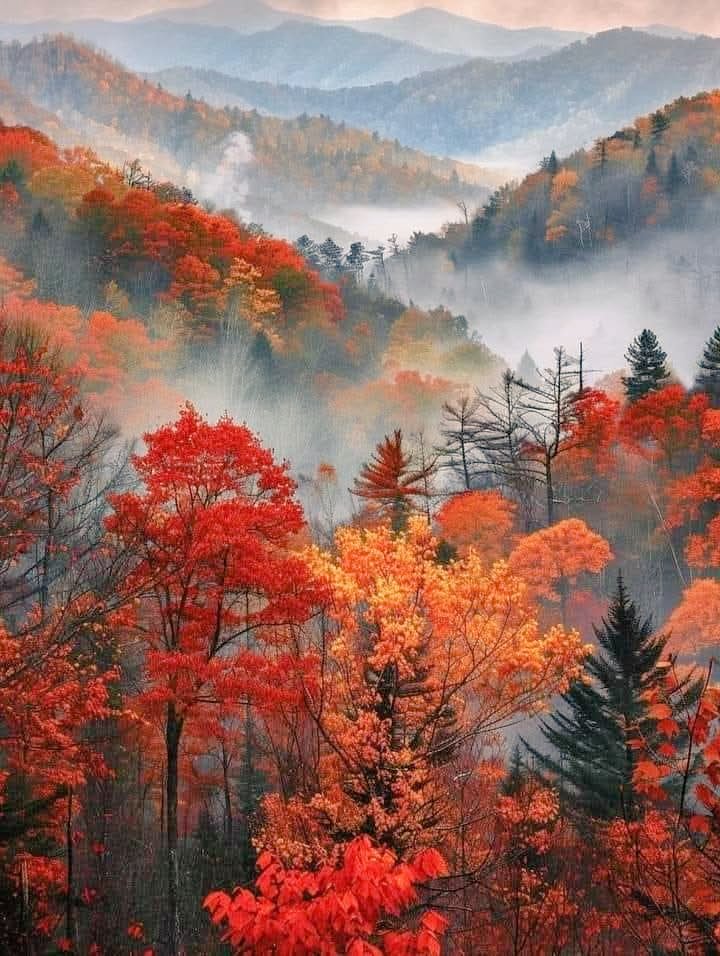 StupendousNatur's tweet image. 