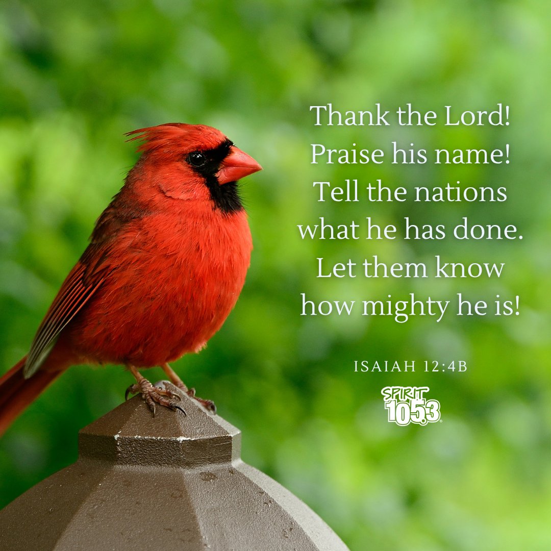 Isaiah 12:4b - Thank the Lord! Praise his name! Tell the nations what he has done. Let them know how mighty he is!
.
.
#verse #dailyverse #hope #bibleverse #bible #biblequotes