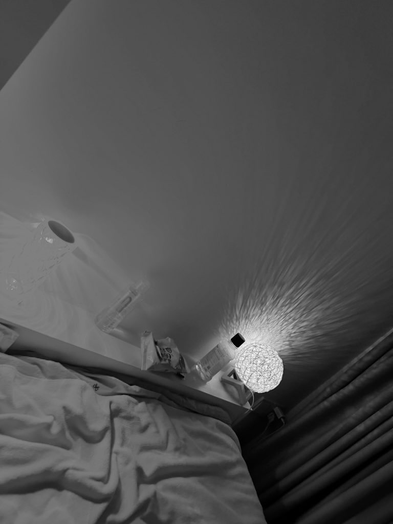 Camellia tweet media