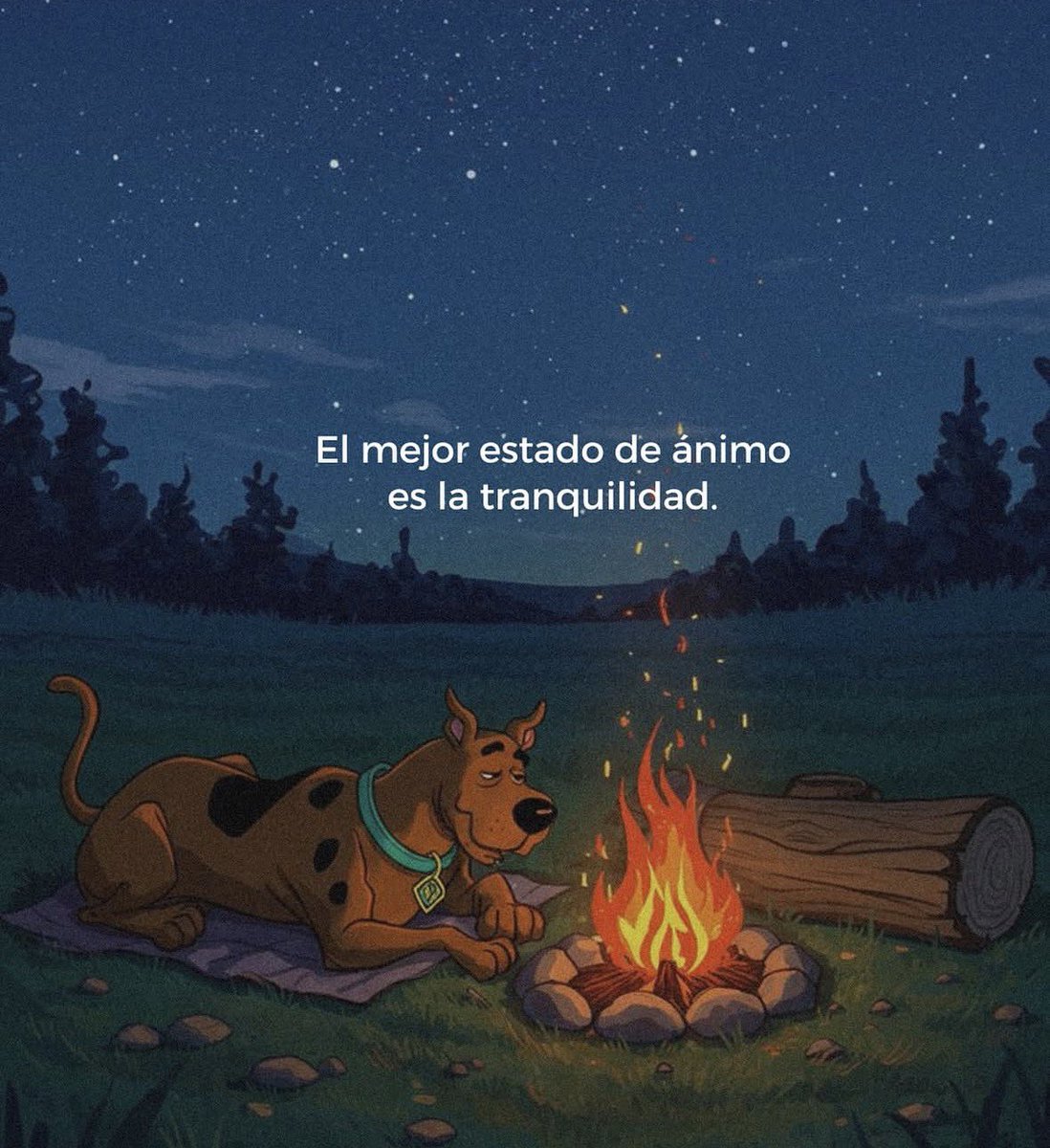 🌙 mini textos (@soyminitextos) on Twitter photo 