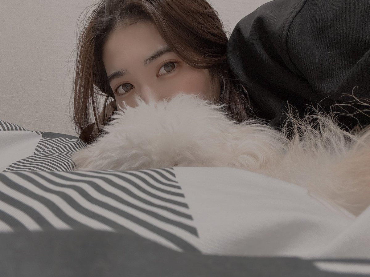 財前あきら (@akira_zaizen23) / Posts / X