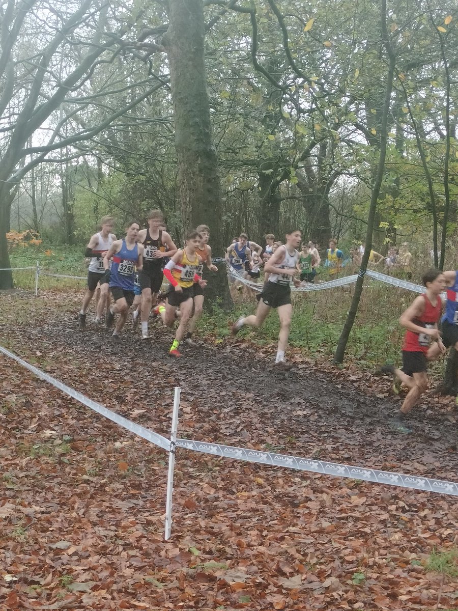 Mike Salt tweet media