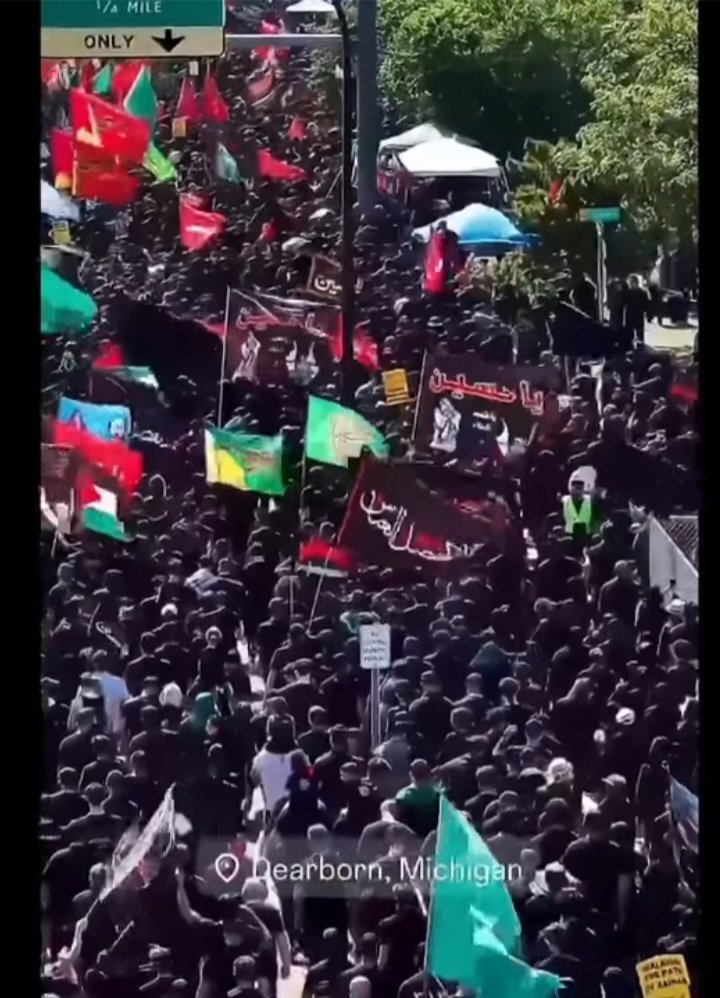 Silverback13 tweet media