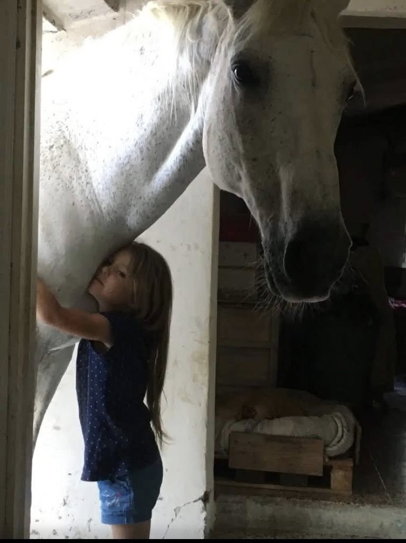 ILARIO MAIOLO (@ilariomaiolo) on Twitter photo 