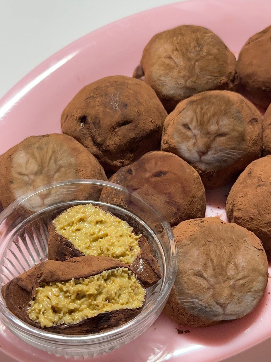 김냄비는 어디에나 존재한다 . .