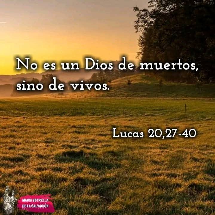 🔴 ORDINARIO, MEMORIA 
SANTA CECILIA MARTIR
"Dios no es un Dios de muertos, sino de vivos"
<a href="/LilianaSnchez9/">Liliana Sánchez 🇦🇷♌🦁</a> <a href="/poctavio65/">Octavio Martínez</a> <a href="/AgustnGonzlezO1/">Padre Agustín G.O</a> <a href="/Pdre_Rafa/">Padre Rafa</a> <a href="/ximetar/">Joaquin C Guardiolaﻥ</a> <a href="/jalisco52/">Unreal</a> <a href="/EliMorales0837/">Eli Morales</a> <a href="/irmaalvarez3210/">@IrmaAlvarez3210</a> <a href="/ggabins/">gabriela nuñez 🇻🇦</a> <a href="/newkike1/">@newkike</a> <a href="/pgnora/">Nora Piña Ghazzaoui</a> <a href="/_GabyRubio/">Gabriela</a> <a href="/ElsaCasP/">Elsa Castillo</a> <a href="/nikitorres11/">MariaTorres</a> <a href="/XimPete/">Familia Olguin Pobl</a>