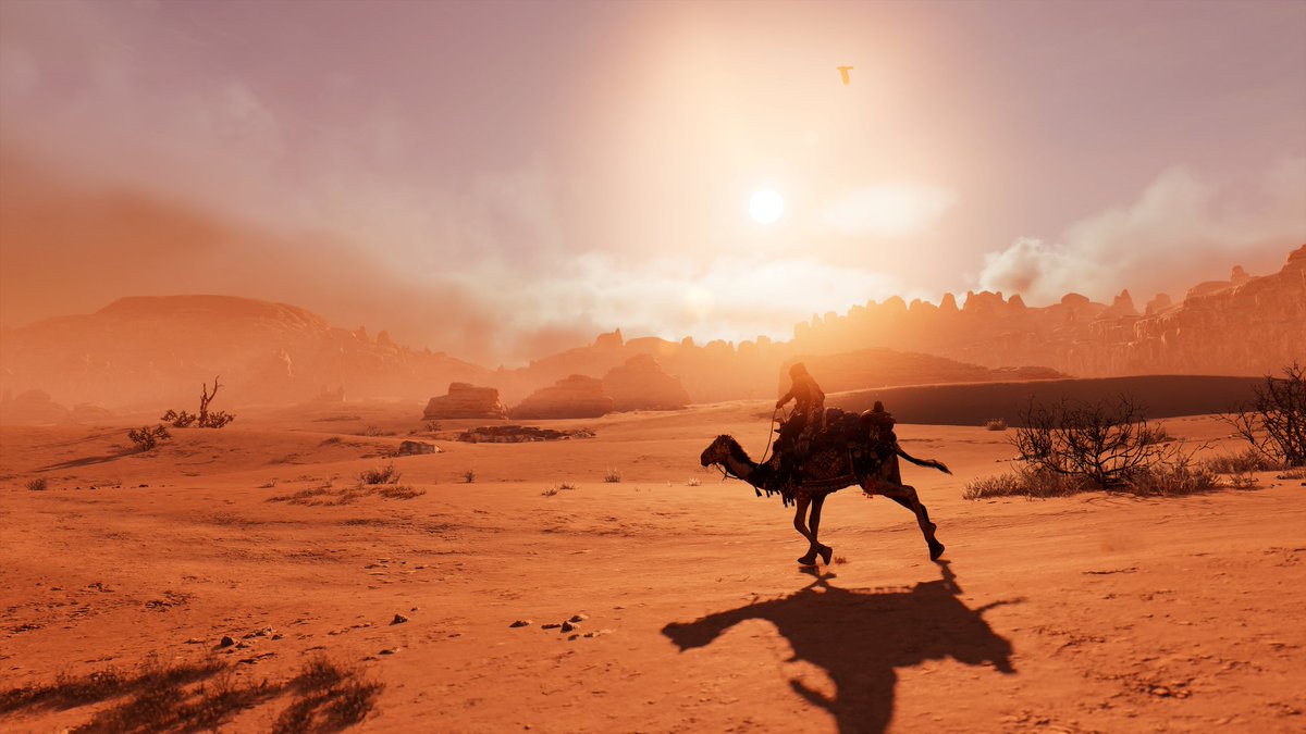 ManuSM10's tweet image. #acmirage #valleyofmemory