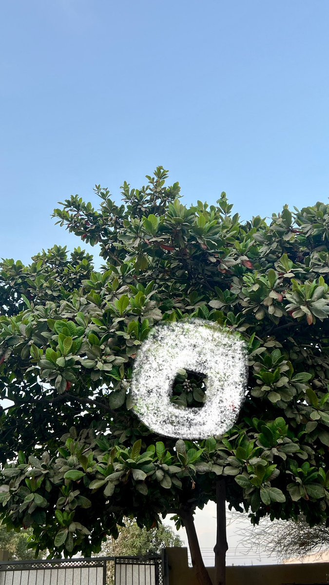 من ثمرة إلى ثروة😂😂🏃‍♀️🏃‍♀️🏃‍♀️