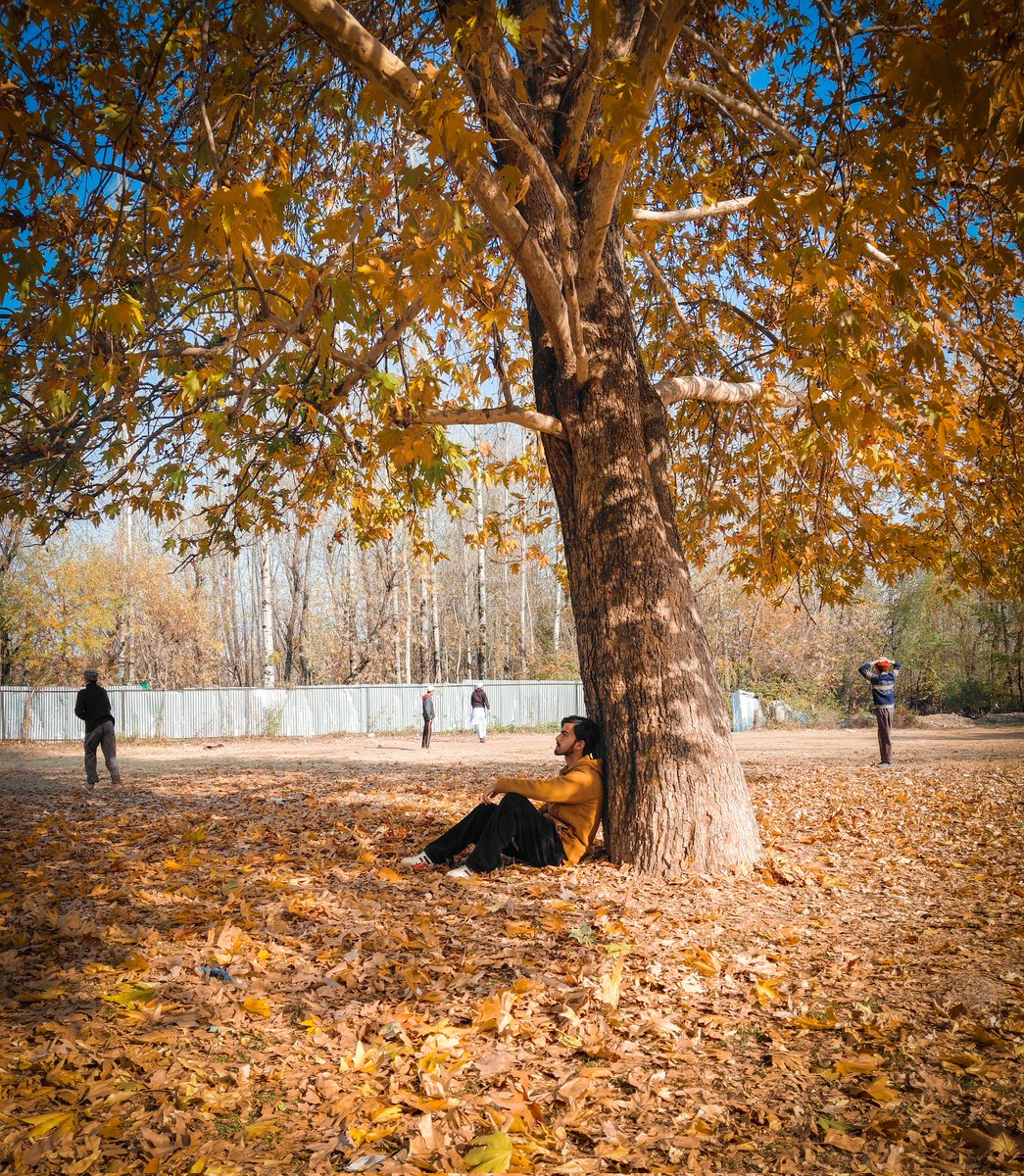 Talib__rather's tweet photo. Fall 🍁❤️‍🩹

#Kashmir #Autumn #AutumnVibes #autumninkashmir https://t.co/6VsBWTN8Qi