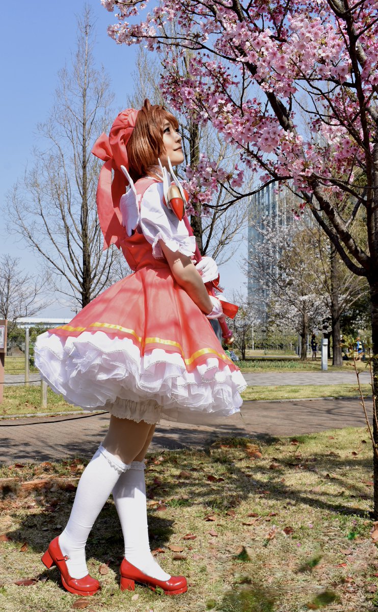 r_e_m_o_m_o's tweet image. 【cosplay 】  

🌸×🌸

パニエも衣装もお気に入りなのと、今日久しぶりにさくらやれたので☻🆙

250330
📷（@km_0467 ）